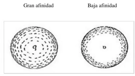 Figura 1. 10 Difusión Molecular 
