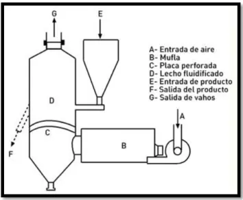 Fig. 1.2.7-4 Secador de lecho fluidizado 