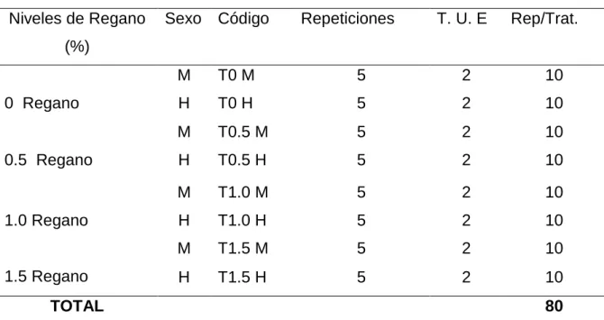 Cuadro 11.  ESQUEMA DEL EXPERIMENTO. 