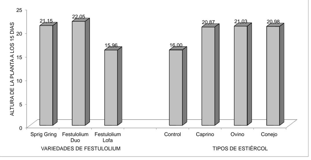 Gráfico  2.  Evaluación  de  la  altura  de  la  planta  a  los  15  días    por  efecto  de  las  variedades  de  festulolium  y  efecto  del  tipo  de  estiércol  en la estación experimental Tunshi