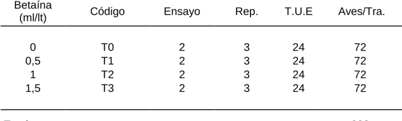 Cuadro 8.  ESQUEMA DEL EXPERIMENTO.  