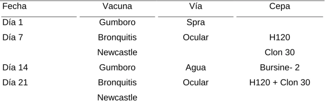 Cuadro 10.  CALENDARIO DE VACUNACION. 