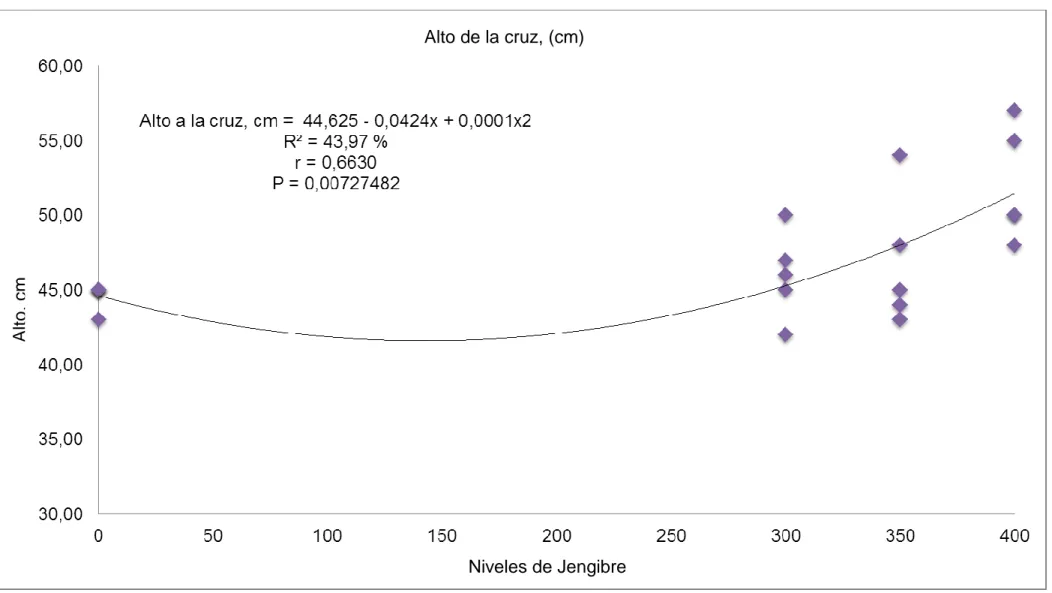 Gráfico 5.  Regresión para altura a la cruz (cm), por efecto de los niveles de jengibre, en cerdos York * Landrace, en la etapa de 