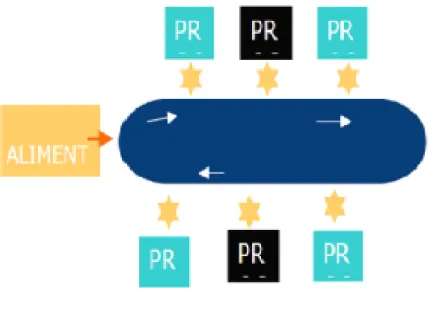 Fig. N° 2.2 Rotary 