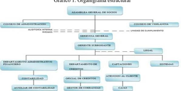 Gráfico 1: Organigrama estructural 