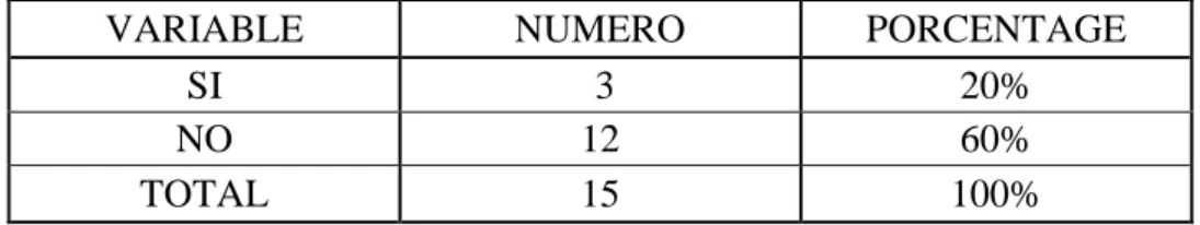 Tabla 11 : Manuales de Funciones 