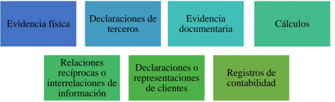 Gráfico 2. Tipos de evidencia 