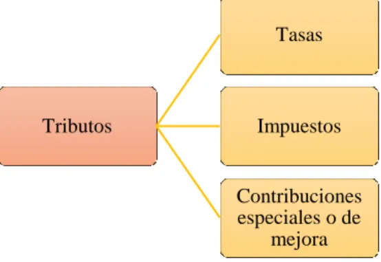 Gráfico 8. Clasificación de los Tributos 