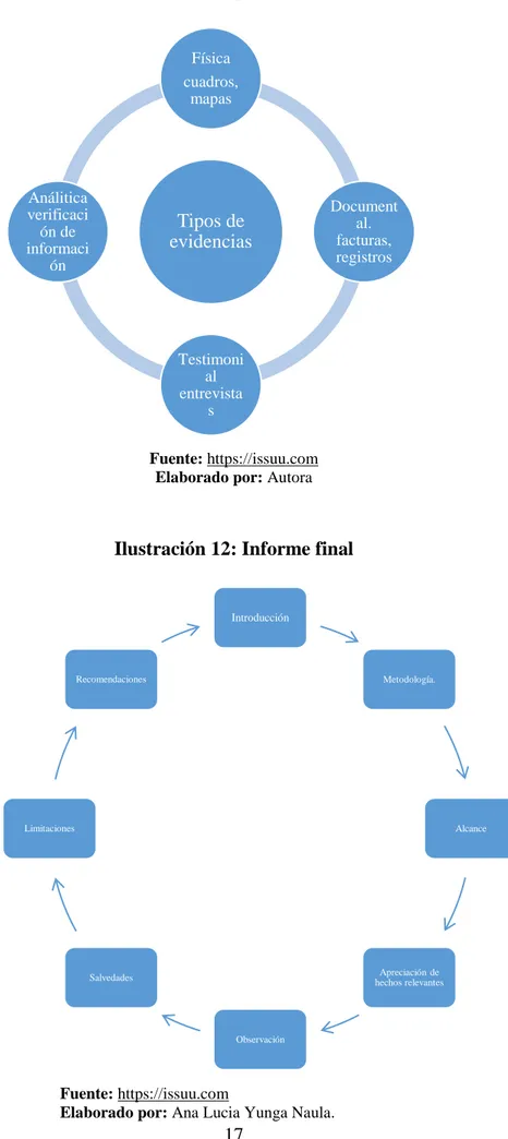 Ilustración 11: Tipos de evidencias 