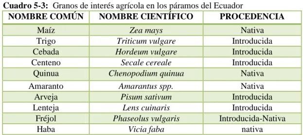Cuadro 7-3:   Hortalizas y verduras de interés agrícola en los páramos del Ecuador 