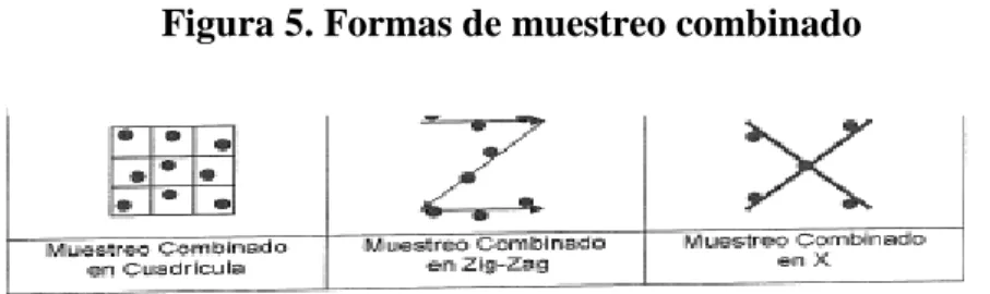 Figura 5. Formas de muestreo combinado 
