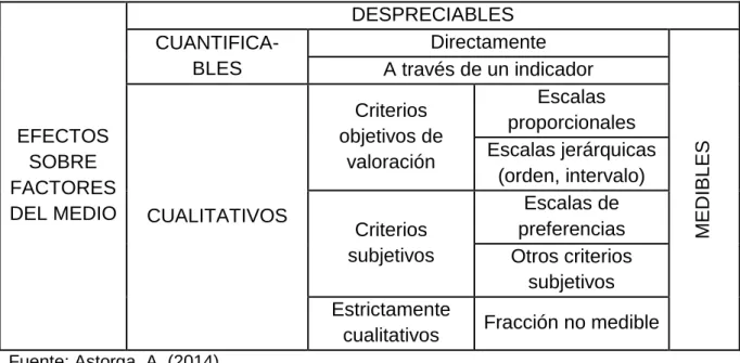 Cuadro 1. EFECTOS VALORADOS EN LA MATRIZ DE LEOPOLD. 