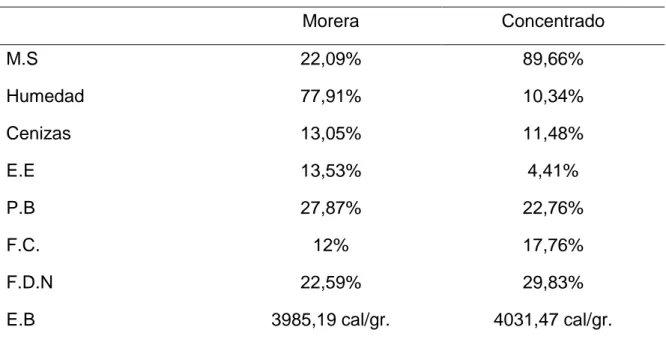 Cuadro  5.  ANÁLISIS  BROMATOLÓGICO  DE  MORERA  Y  ALIMENTO  COMERCIAL.  Morera  Concentrado  M.S  22,09%  89,66%  Humedad   77,91%  10,34%  Cenizas   13,05%  11,48%  E.E  13,53%  4,41%  P.B  27,87%  22,76%  F.C