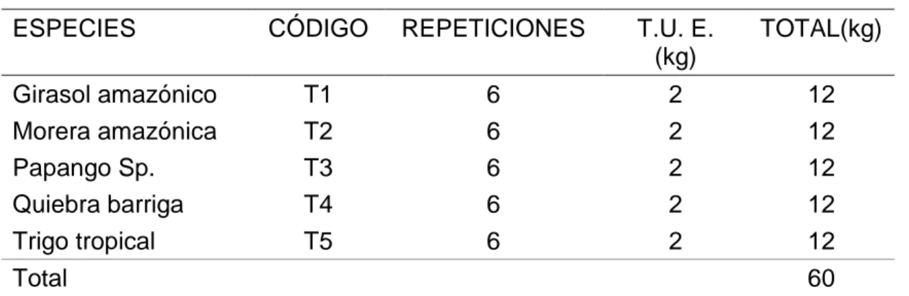 Cuadro 10.  ESQUEMA DEL EXPERIMENTO 