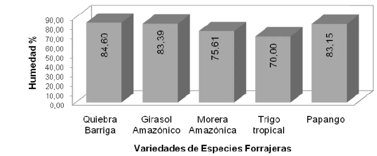 Gráfico  1.  Contenido  de  Humedad  (%)  de  cinco  especies  forrajeras  nativas  en  la  Amazonía ecuatoriana
