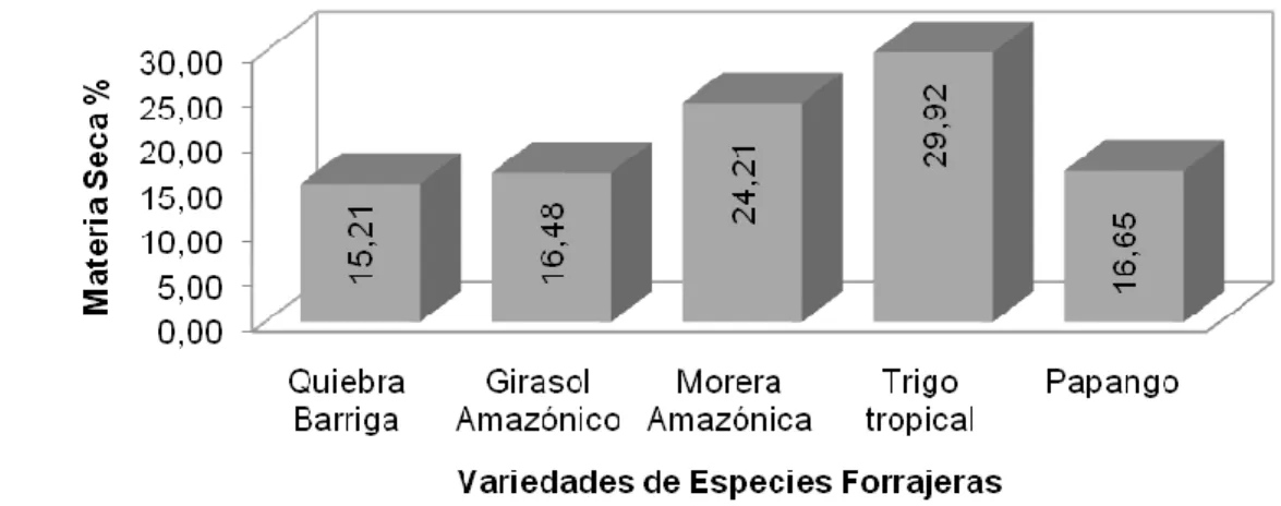 Gráfico 2. Contenido de Materia seca (%) de cinco especies forrajeras nativas en la  Amazonía ecuatoriana