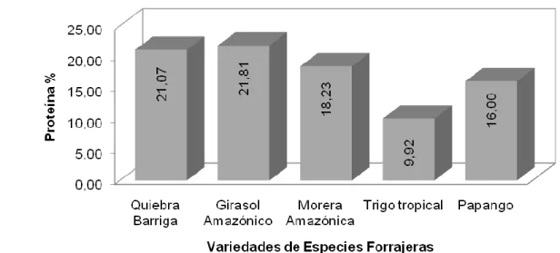 Gráfico 3. Contenido de  Proteína bruta (%), de cinco especies forrajeras  nativas en  la Amazonía ecuatoriana