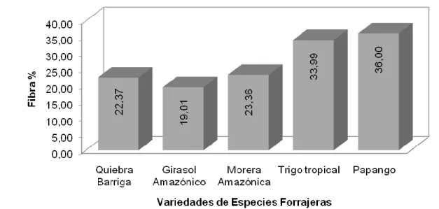 Gráfico  4.  Contenido  de  Fibra  cruda  (%)  de  cinco  especies  forrajeras  nativas  en  la  Amazonía ecuatoriana