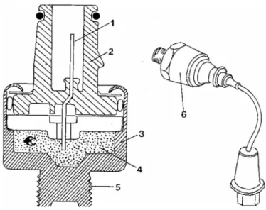 Figura 2.12: Sensor de Pistoneo 