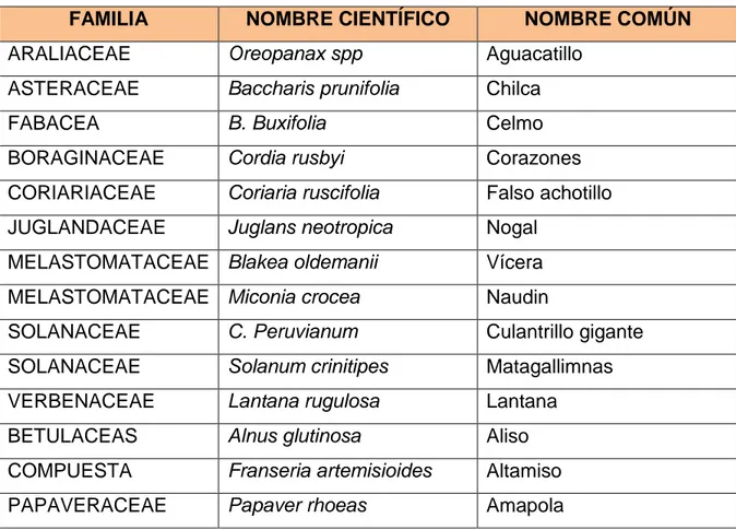 Cuadro N° 2. Especies de flora existentes en la zona ecológica Matorral húmedo  montano