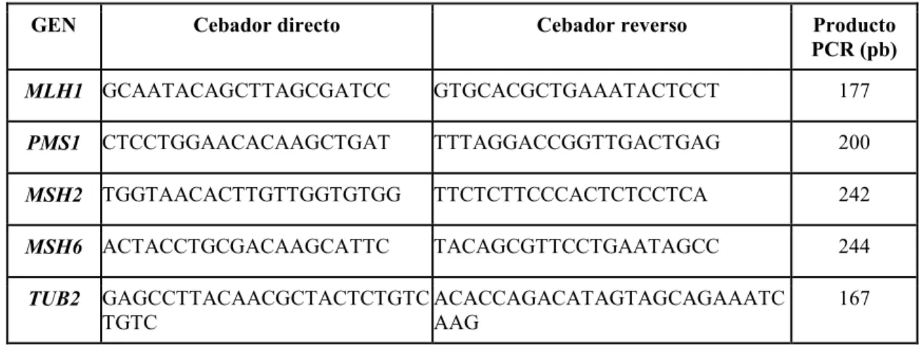 Tabla 3.1. Se indican los cebadores utilizados en los experimentos de PCR en tiempo real para cada gen  ensayado y el tamaño molecular del producto amplificado