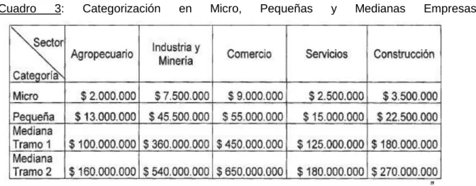 Cuadro  3:  Categorización  en  Micro,  Pequeñas  y  Medianas  Empresas. 