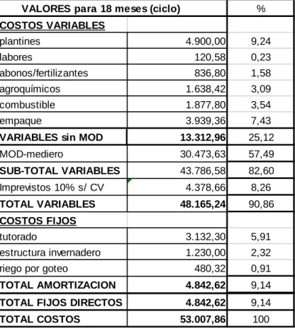 Cuadro 1: Total Costos (Variables y Fijos) 