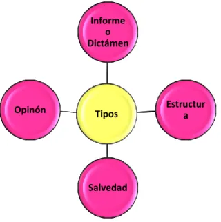 Gráfico Nº  8: Tipos de Dictámenes