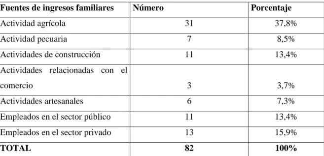 Gráfico 1 – Población económicamente activa por segmento de ocupación 