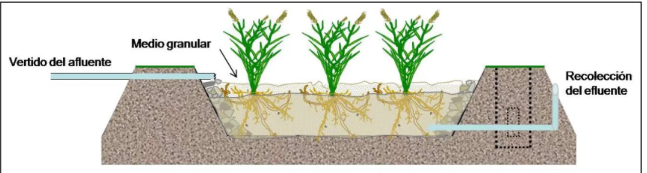 Figura Nº 2: Humedal de flujo subsuperficial 