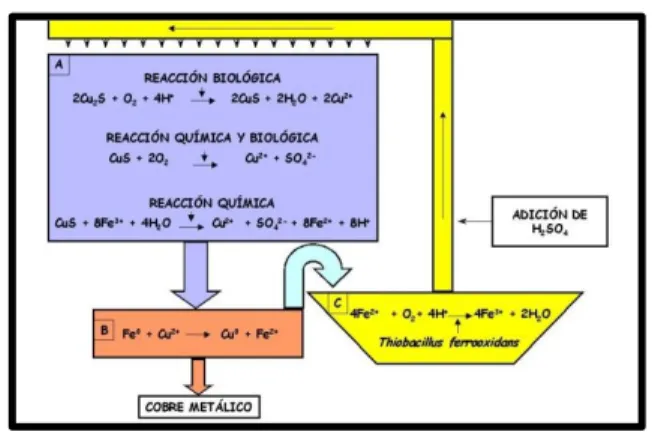 Figura 5. Proceso de biolixiviación aplicado en minería