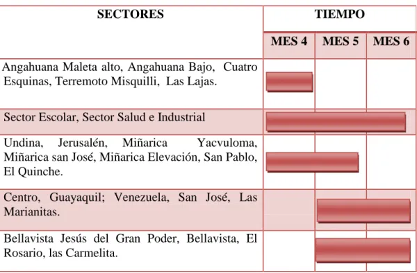 Cuadro 11. Cronograma Tentativo del Programa de Separación en la Fuente 