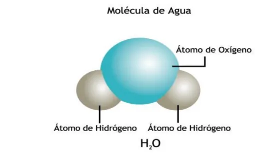 Figura 1-1Estructura del agua 