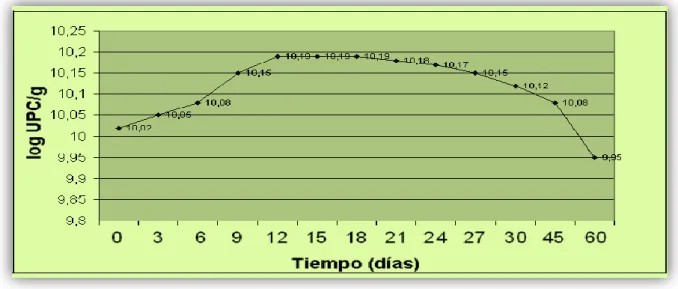 Fig. 3.3.1-1 CURVA DE CRECMIENTO DEL TRICHODERMA  SP. EN LAS BOTELLAS 