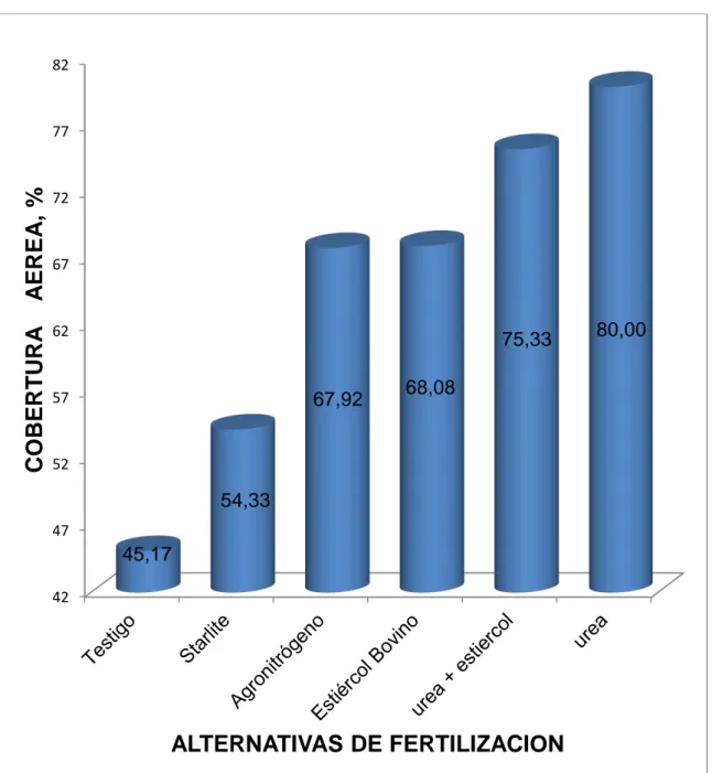 Gráfico  5.  Comportamiento  del  porcentaje  de  cobertura  aérea  de  la  mezcla  forrajera de Rye grass perenne, Rye grass anual, Pasto azul, y  Alfalfa,  por efecto de la aplicación de diferentes alternativas de fertilizantes, en  el primer corte