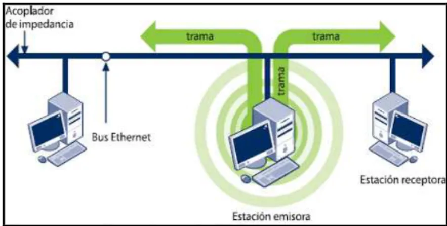 Figura II.12. Red Ethernet  