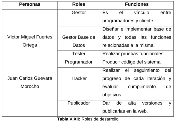 Tabla V.XII: Roles de desarrollo 