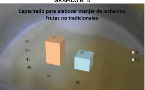 GRÁFICO N° 4 