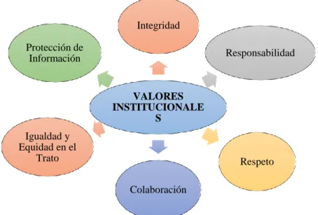 GRÁFICO Nº 6: VALORES INSTITUCIONALES 