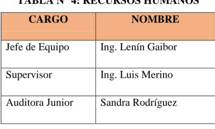 TABLA N° 4: RECURSOS HUMANOS 