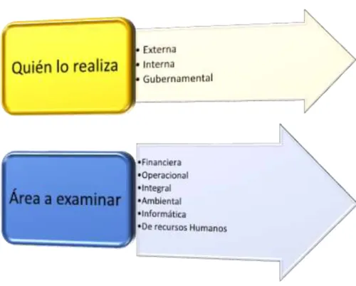 Gráfico  3: Clasificación de la Auditoría 
