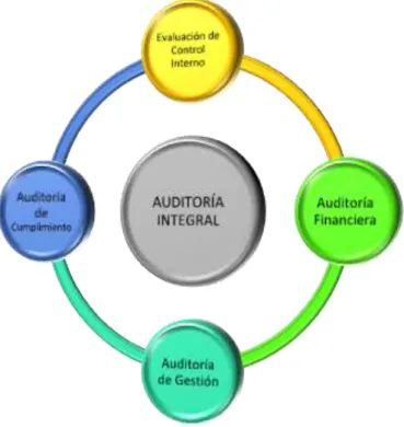 Gráfico 4: Componentes de la Auditoría Integral 