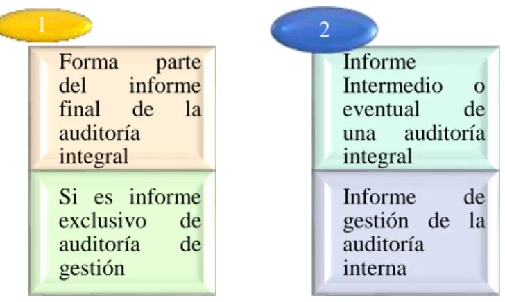 Gráfico  9 Tipos de Informe de una Auditoría de Gestión