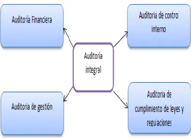 Gráfico 1: Auditoría Integral 