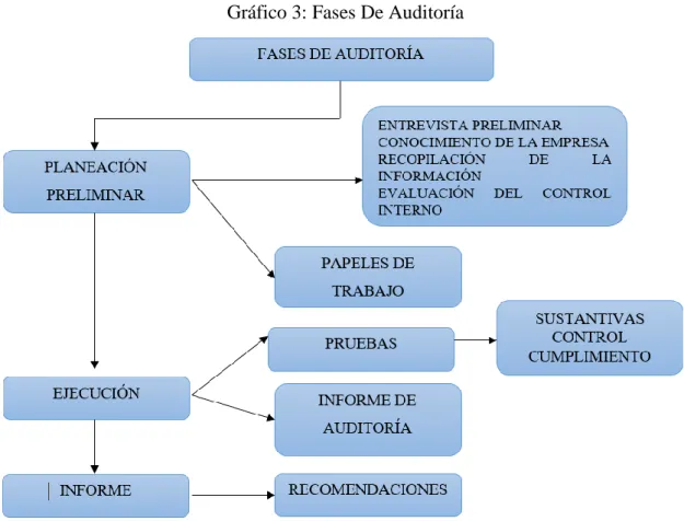 Gráfico 3: Fases De Auditoría 