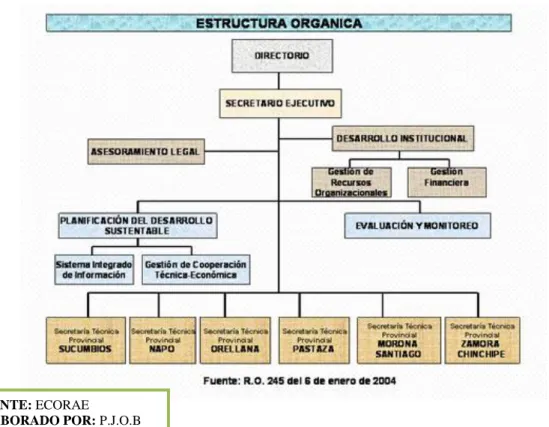 GRÁFICO Nº 2 ESTRUCTURA GENERAL DEL ECORAE 