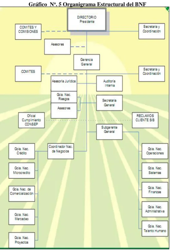 Gráfico  N o . 5 Organigrama Estructural del BNF 