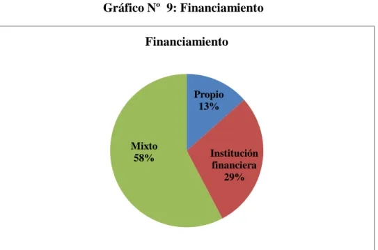 Gráfico Nº  9: Financiamiento