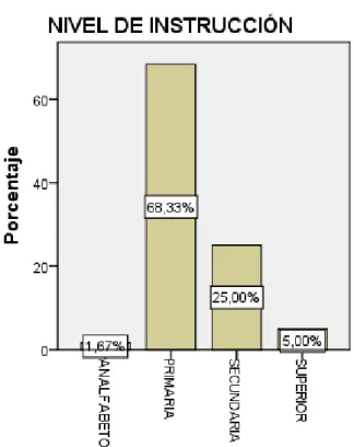 Gráfico  #  5  Porcentaje  de  Nivel  de  Instrucción  de  los  pacientes  con  Diabetes  Mellitus  tipo  2  del  área  de  consulta  externa  del  Hospital  General Puyo
