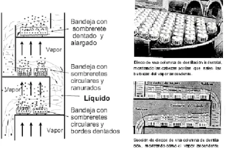 Fig. 1.2.5.1.1-1 Torres con Platos de Burbujeo 